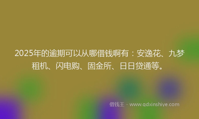 2025年的逾期可以从哪借钱啊有：安逸花、九梦租机、闪电购、固金所、日日贷通等。