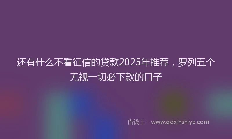 还有什么不看征信的贷款2025年推荐，罗列五个无视一切必下款的口子