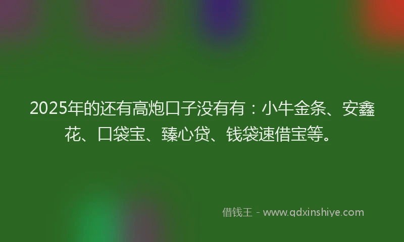 2025年的还有高炮口子没有有：小牛金条、安鑫花、口袋宝、臻心贷、钱袋速借宝等。