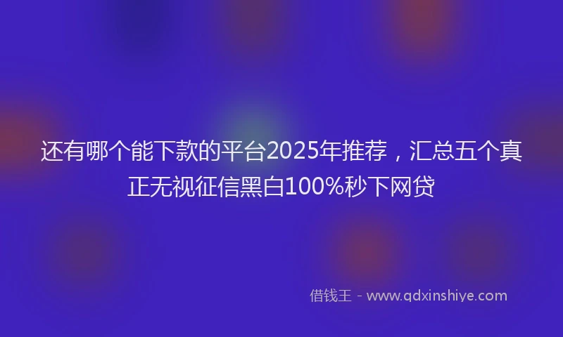 还有哪个能下款的平台2025年推荐，汇总五个真正无视征信黑白100%秒下网贷