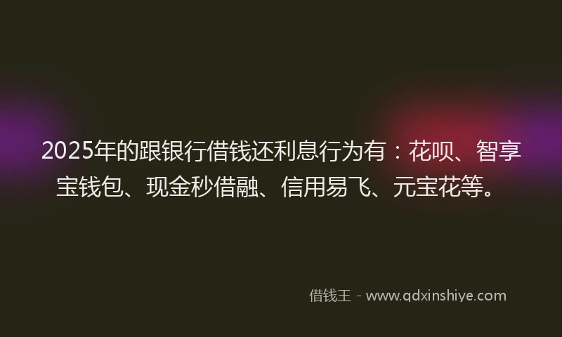 2025年的跟银行借钱还利息行为有：花呗、智享宝钱包、现金秒借融、信用易飞、元宝花等。