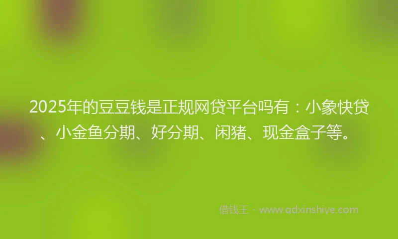 2025年的豆豆钱是正规网贷平台吗有：小象快贷、小金鱼分期、好分期、闲猪、现金盒子等。