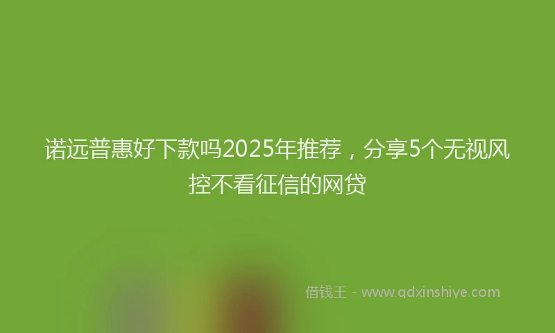 诺远普惠好下款吗2025年推荐，分享5个无视风控不看征信的网贷