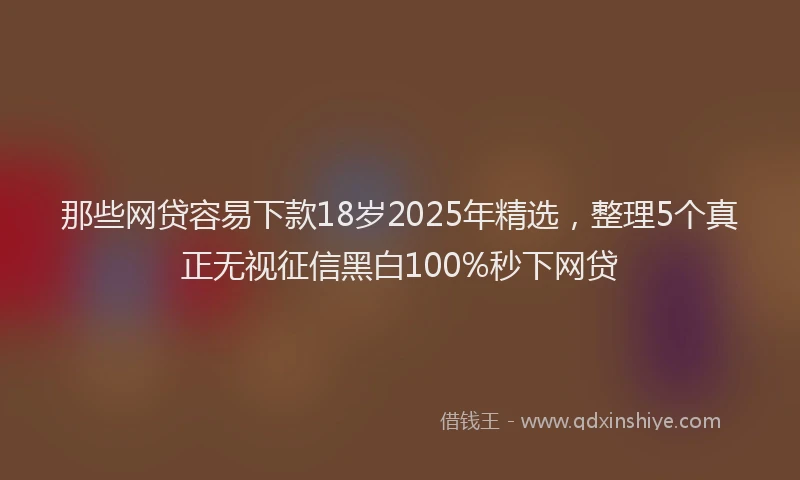 那些网贷容易下款18岁2025年精选，整理5个真正无视征信黑白100%秒下网贷