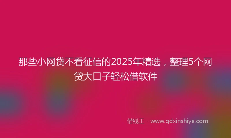那些小网贷不看征信的2025年精选，整理5个网贷大口子轻松借软件