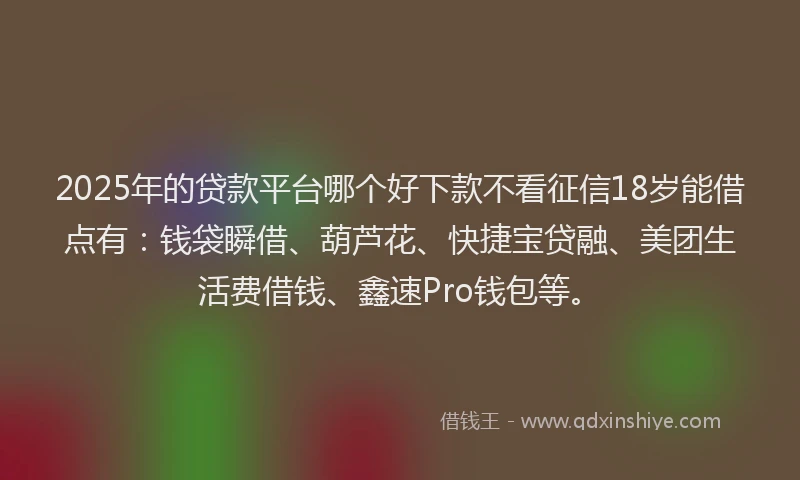 2025年的贷款平台哪个好下款不看征信18岁能借点有：钱袋瞬借、葫芦花、快捷宝贷融、美团生活费借钱、鑫速Pro钱包等。