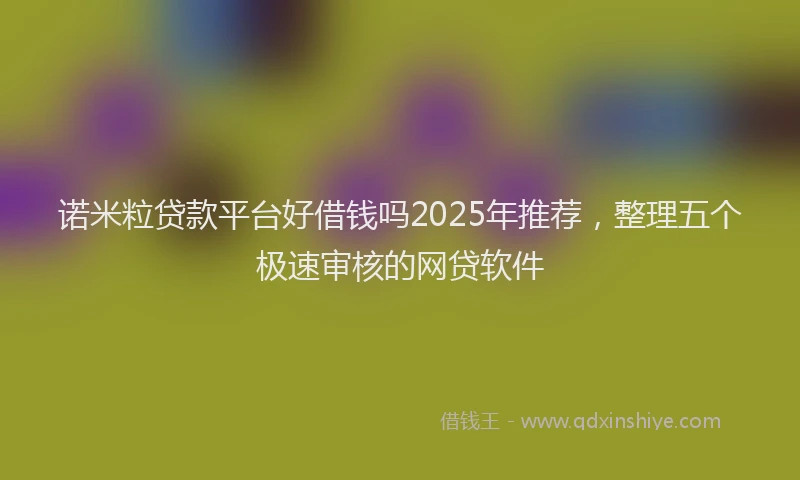 诺米粒贷款平台好借钱吗2025年推荐，整理五个极速审核的网贷软件