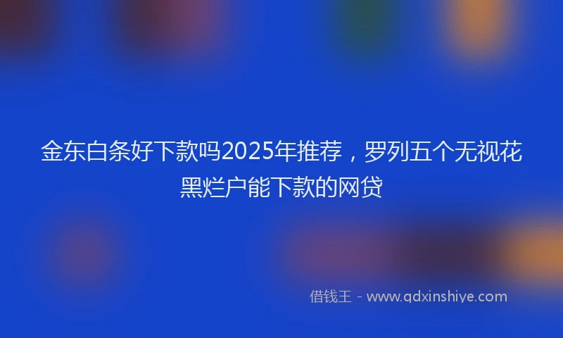金东白条好下款吗2025年推荐，罗列五个无视花黑烂户能下款的网贷