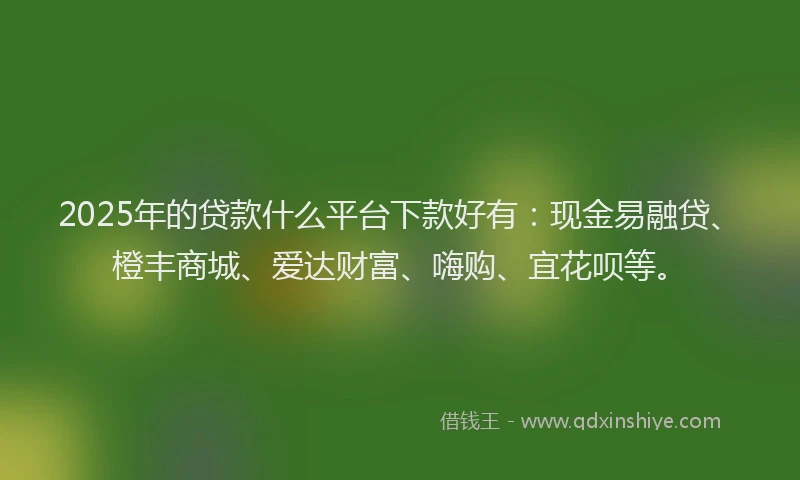 2025年的贷款什么平台下款好有：现金易融贷、橙丰商城、爱达财富、嗨购、宜花呗等。