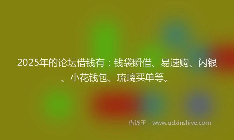 2025年的论坛借钱有：钱袋瞬借、易速购、闪银、小花钱包、琉璃买单等。