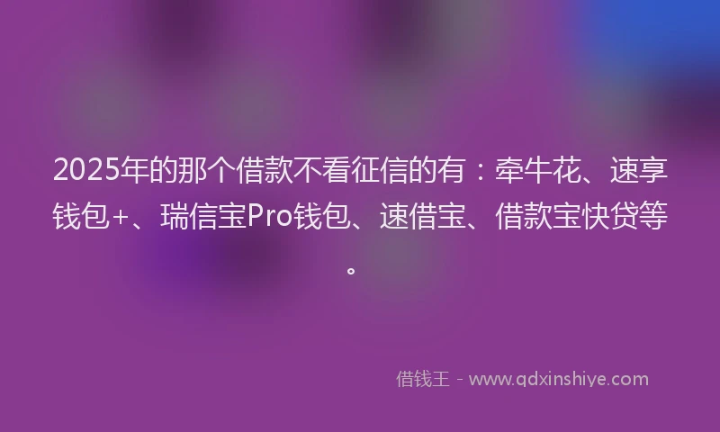 2025年的那个借款不看征信的有：牵牛花、速享钱包+、瑞信宝Pro钱包、速借宝、借款宝快贷等。