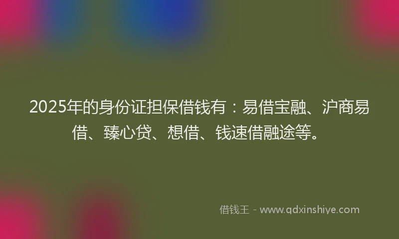 2025年的身份证担保借钱有：易借宝融、沪商易借、臻心贷、想借、钱速借融途等。