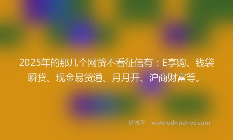 2025年的那几个网贷不看征信有：E享购、钱袋瞬贷、现金易贷通、月月开、沪商财富等。