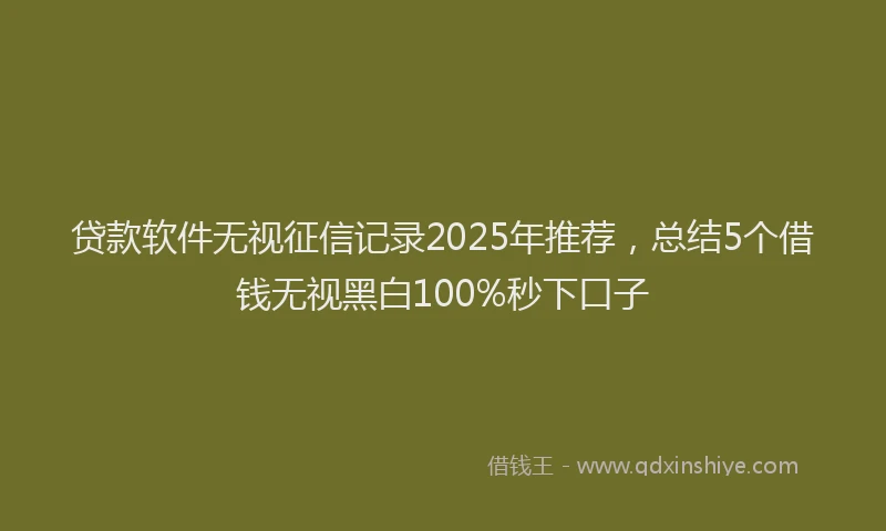 贷款软件无视征信记录2025年推荐，总结5个借钱无视黑白100%秒下口子