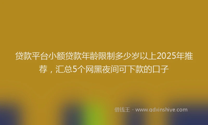 贷款平台小额贷款年龄限制多少岁以上2025年推荐，汇总5个网黑夜间可下款的口子