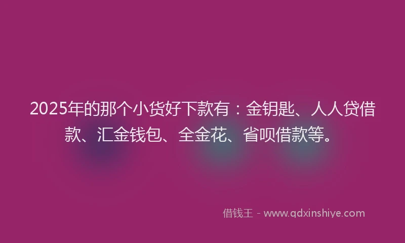 2025年的那个小货好下款有：金钥匙、人人贷借款、汇金钱包、全金花、省呗借款等。