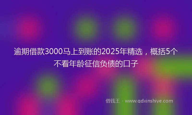 逾期借款3000马上到账的2025年精选，概括5个不看年龄征信负债的口子