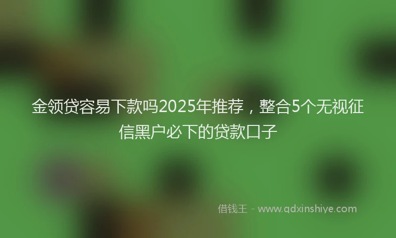 金领贷容易下款吗2025年推荐，整合5个无视征信黑户必下的贷款口子