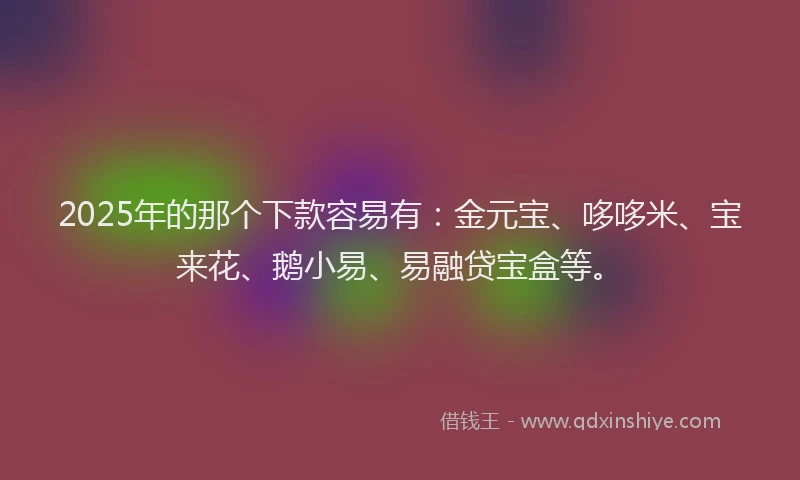 2025年的那个下款容易有：金元宝、哆哆米、宝来花、鹅小易、易融贷宝盒等。