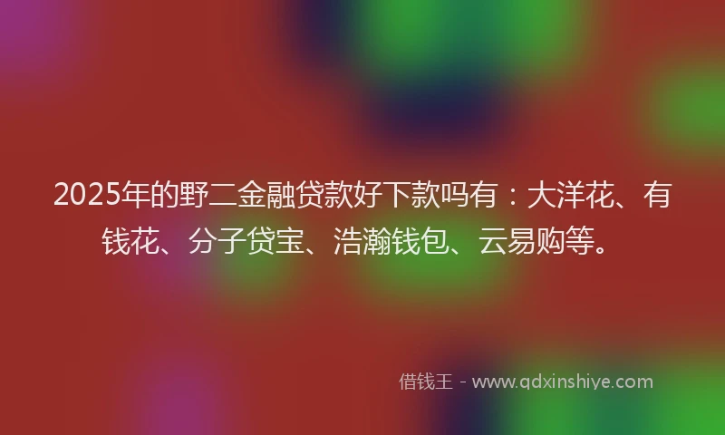 2025年的野二金融贷款好下款吗有：大洋花、有钱花、分子贷宝、浩瀚钱包、云易购等。