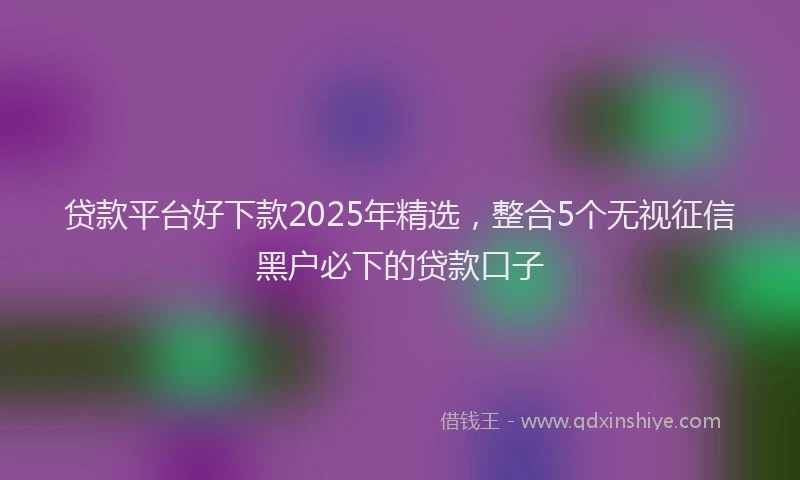 贷款平台好下款2025年精选，整合5个无视征信黑户必下的贷款口子