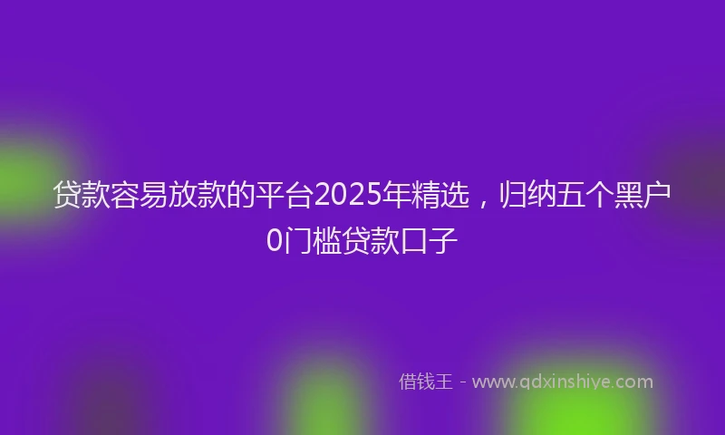 贷款容易放款的平台2025年精选，归纳五个黑户0门槛贷款口子