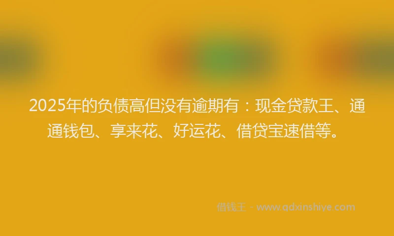 2025年的负债高但没有逾期有：现金贷款王、通通钱包、享来花、好运花、借贷宝速借等。
