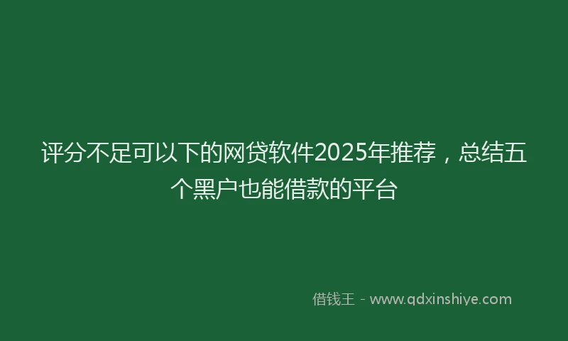 评分不足可以下的网贷软件2025年推荐，总结五个黑户也能借款的平台