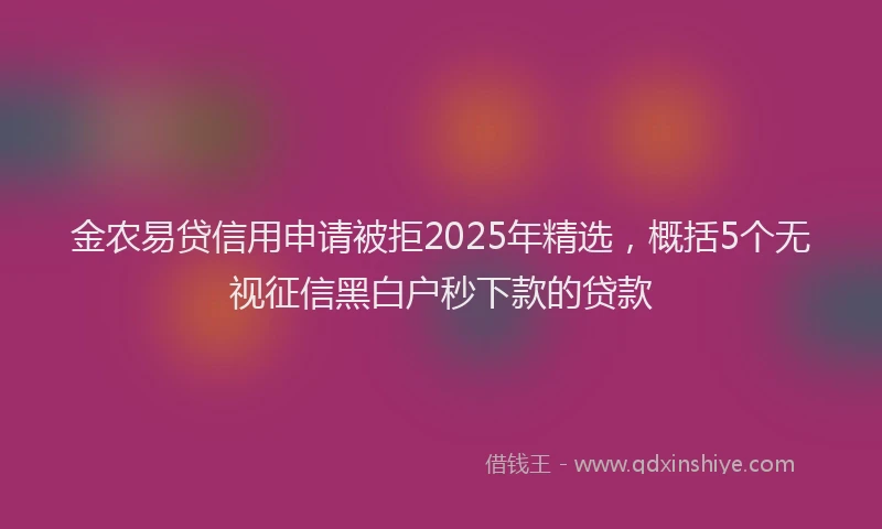 金农易贷信用申请被拒2025年精选，概括5个无视征信黑白户秒下款的贷款