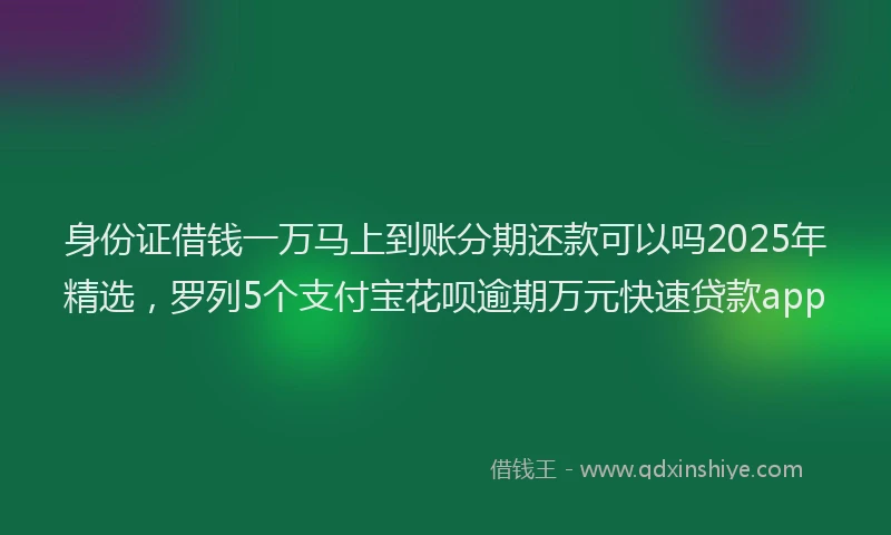 身份证借钱一万马上到账分期还款可以吗2025年精选，罗列5个支付宝花呗逾期万元快速贷款app