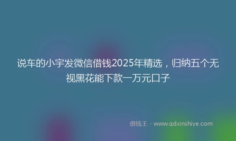说车的小宇发微信借钱2025年精选，归纳五个无视黑花能下款一万元口子