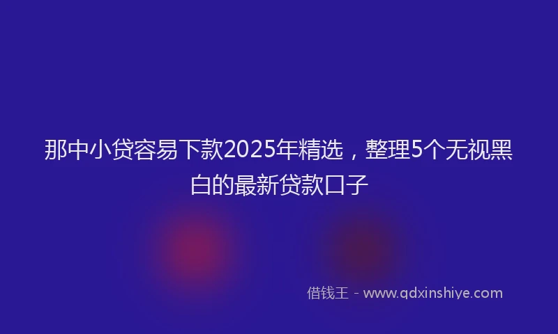 那中小贷容易下款2025年精选，整理5个无视黑白的最新贷款口子