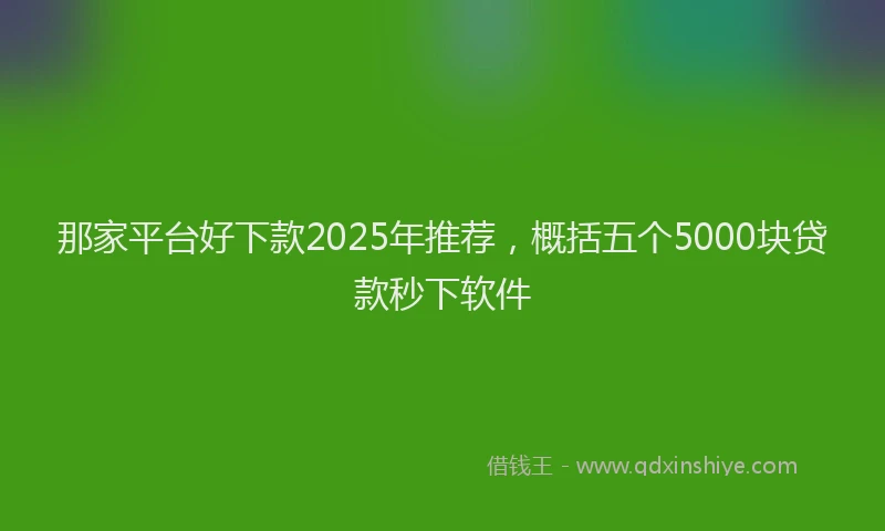 那家平台好下款2025年推荐，概括五个5000块贷款秒下软件
