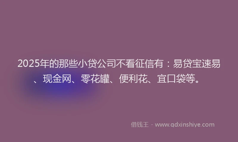 2025年的那些小贷公司不看征信有：易贷宝速易、现金网、零花罐、便利花、宜口袋等。