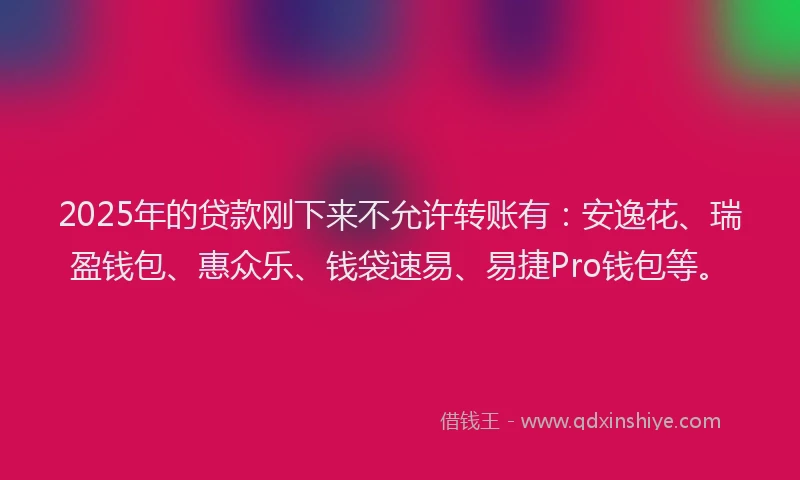 2025年的贷款刚下来不允许转账有：安逸花、瑞盈钱包、惠众乐、钱袋速易、易捷Pro钱包等。