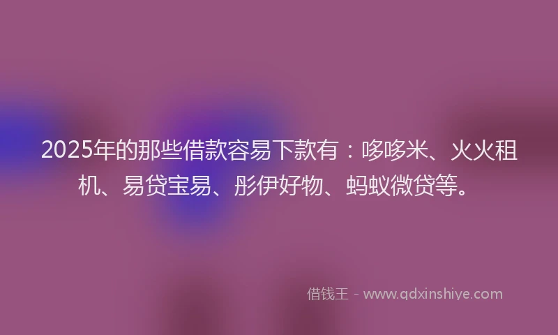 2025年的那些借款容易下款有：哆哆米、火火租机、易贷宝易、彤伊好物、蚂蚁微贷等。
