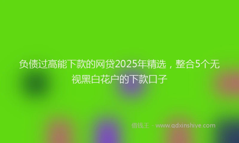 负债过高能下款的网贷2025年精选，整合5个无视黑白花户的下款口子