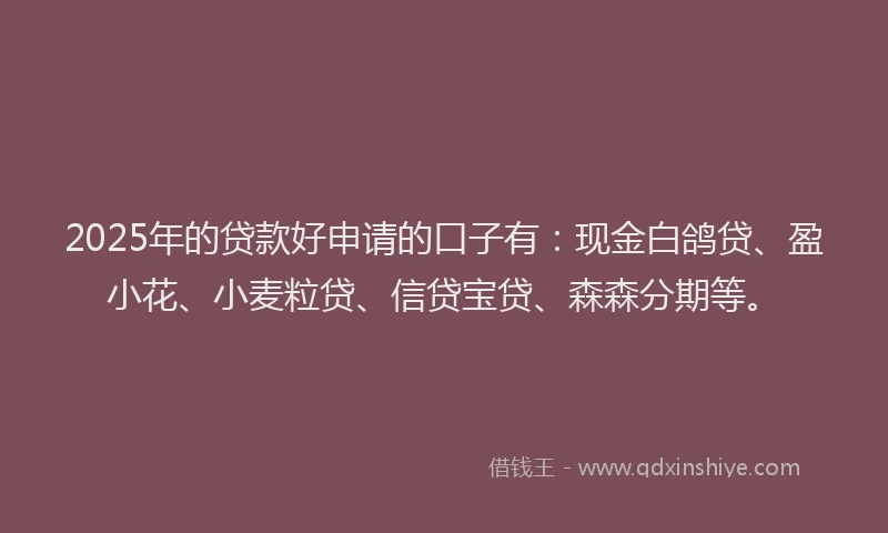 2025年的贷款好申请的口子有：现金白鸽贷、盈小花、小麦粒贷、信贷宝贷、森森分期等。