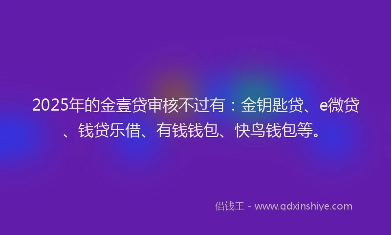 2025年的金壹贷审核不过有：金钥匙贷、e微贷、钱贷乐借、有钱钱包、快鸟钱包等。