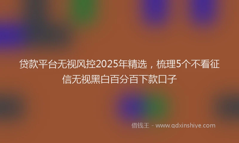 贷款平台无视风控2025年精选，梳理5个不看征信无视黑白百分百下款口子