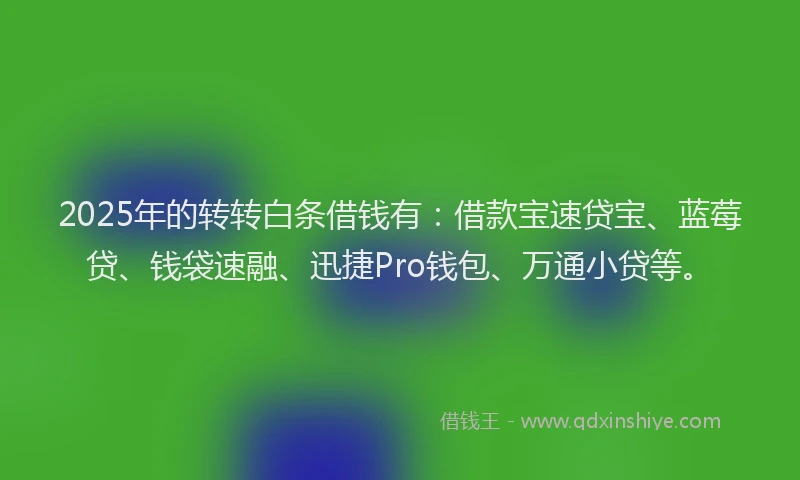 2025年的转转白条借钱有：借款宝速贷宝、蓝莓贷、钱袋速融、迅捷Pro钱包、万通小贷等。