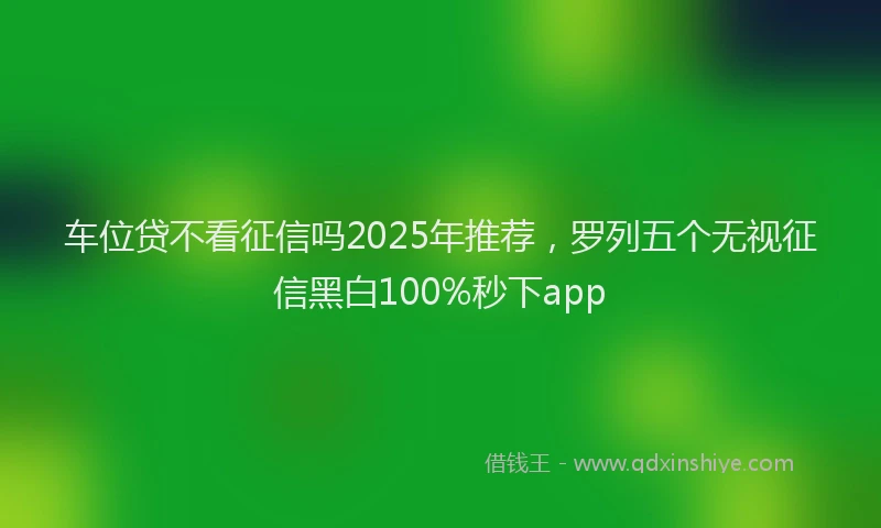 车位贷不看征信吗2025年推荐，罗列五个无视征信黑白100%秒下app