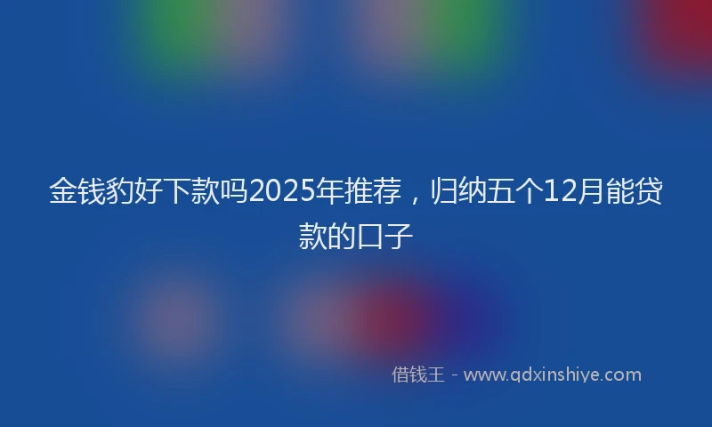 金钱豹好下款吗2025年推荐，归纳五个12月能贷款的口子