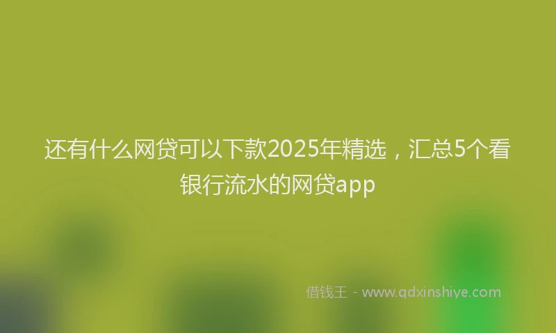 还有什么网贷可以下款2025年精选，汇总5个看银行流水的网贷app