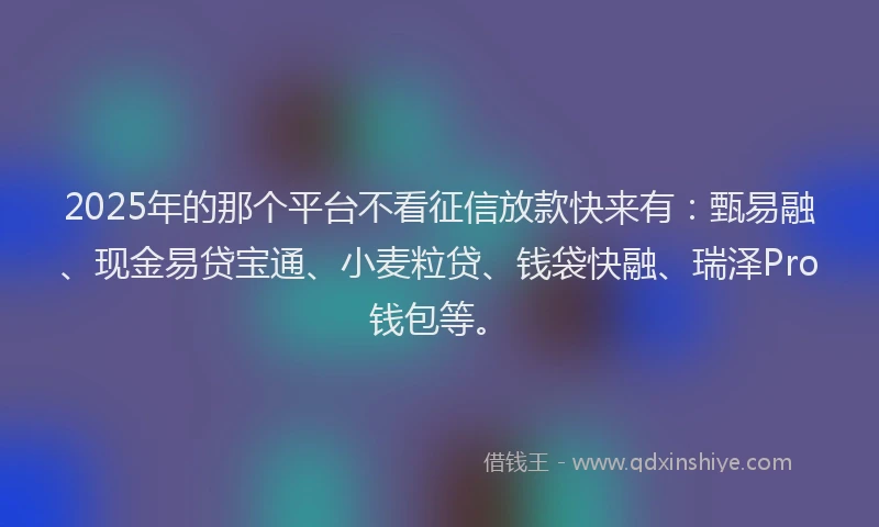 2025年的那个平台不看征信放款快来有:甄易融、现金易贷宝通、小麦粒贷、钱袋快融、瑞泽Pro钱包等。