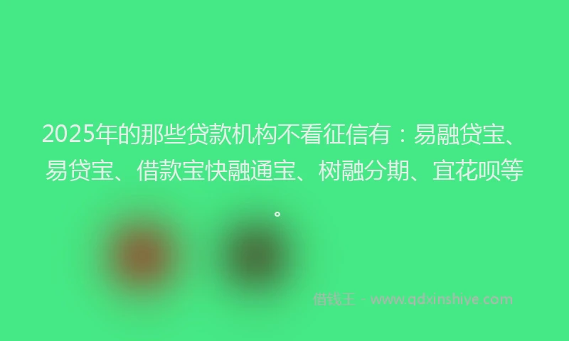 2025年的那些贷款机构不看征信有：易融贷宝、易贷宝、借款宝快融通宝、树融分期、宜花呗等。