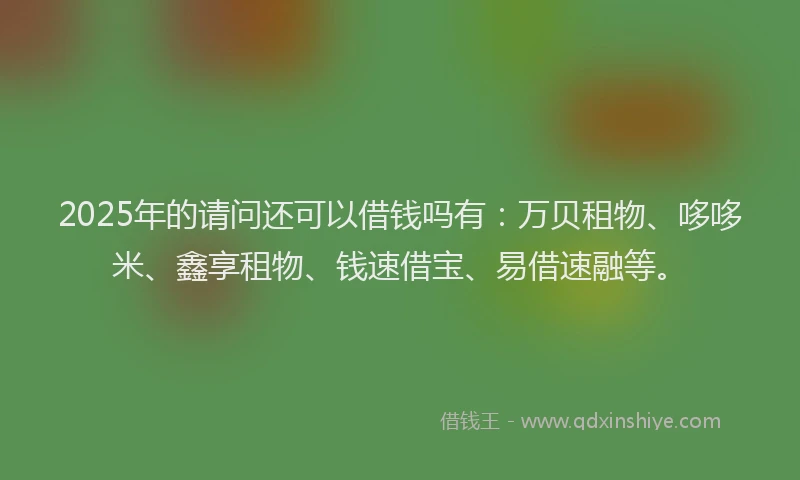 2025年的请问还可以借钱吗有：万贝租物、哆哆米、鑫享租物、钱速借宝、易借速融等。