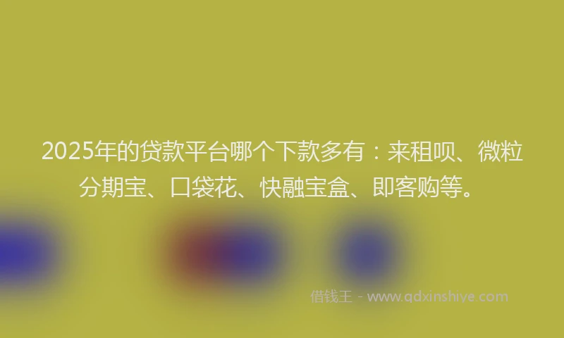 2025年的贷款平台哪个下款多有：来租呗、微粒分期宝、口袋花、快融宝盒、即客购等。