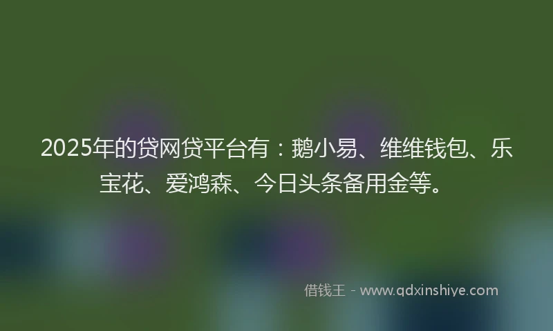 2025年的贷网贷平台有：鹅小易、维维钱包、乐宝花、爱鸿森、今日头条备用金等。