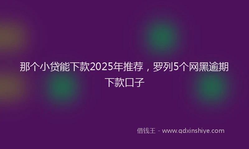那个小贷能下款2025年推荐，罗列5个网黑逾期下款口子